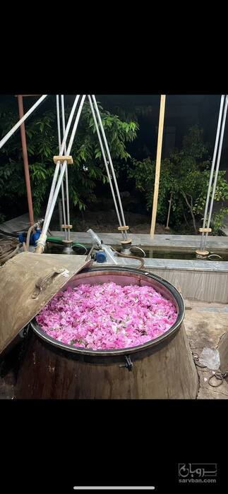 فروش عرق گلاب