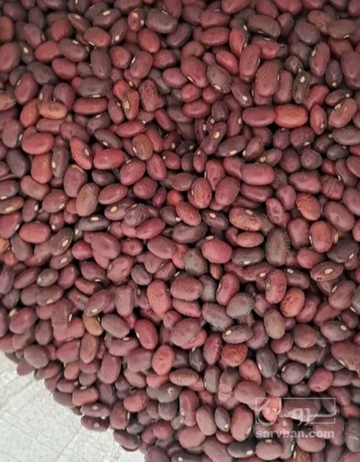 فروش لوبیا قرمز