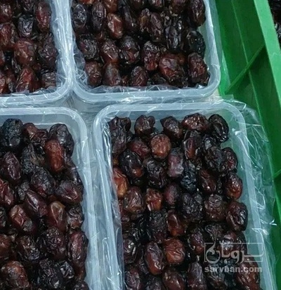 فروش خرما