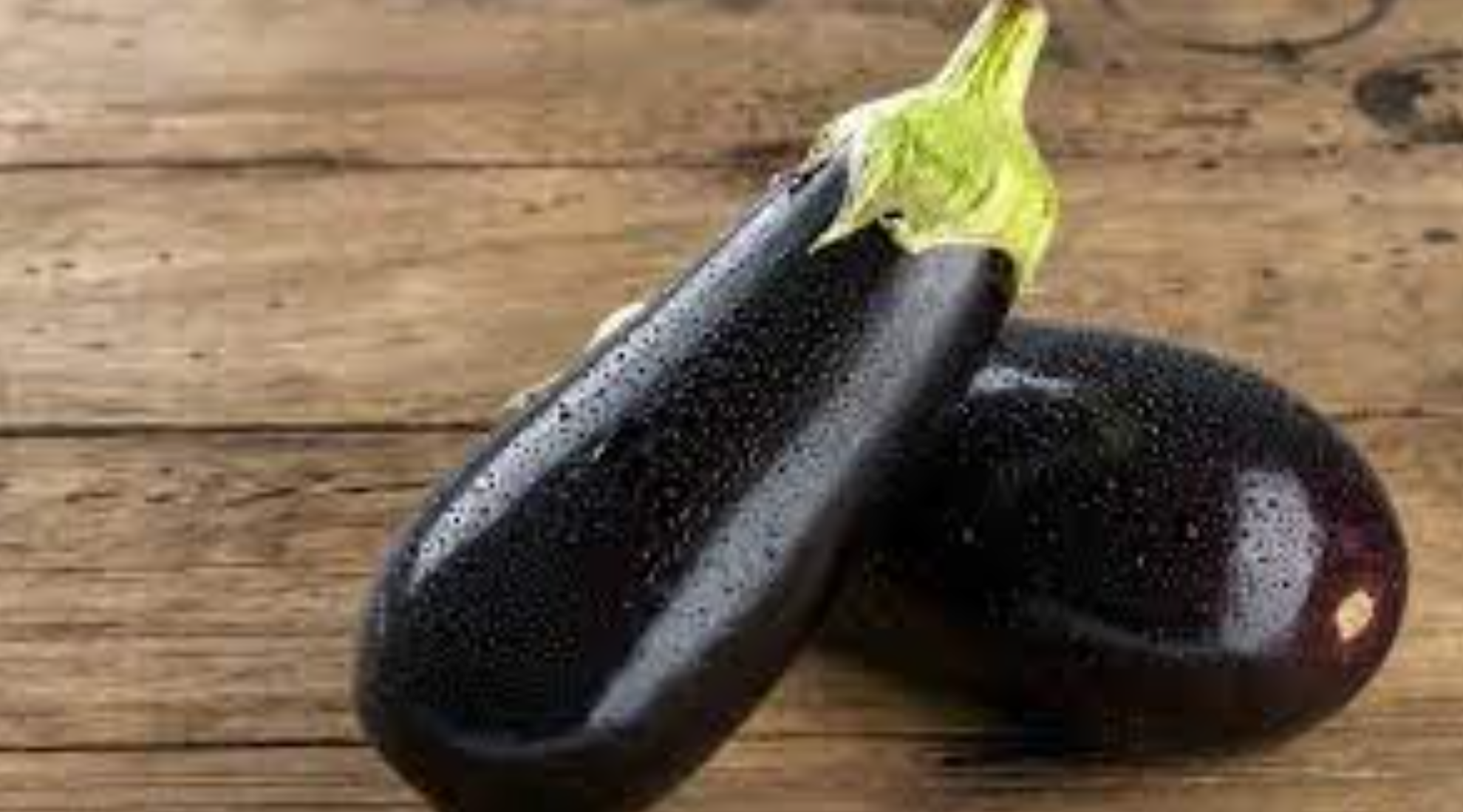 فروش بادمجان قلمی