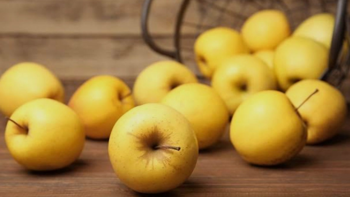 فروش سیب درختی زرد