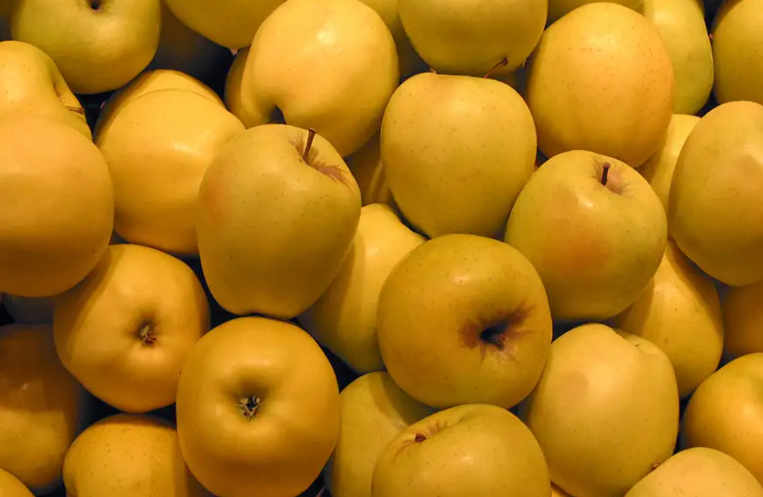 فروش سیب زرد