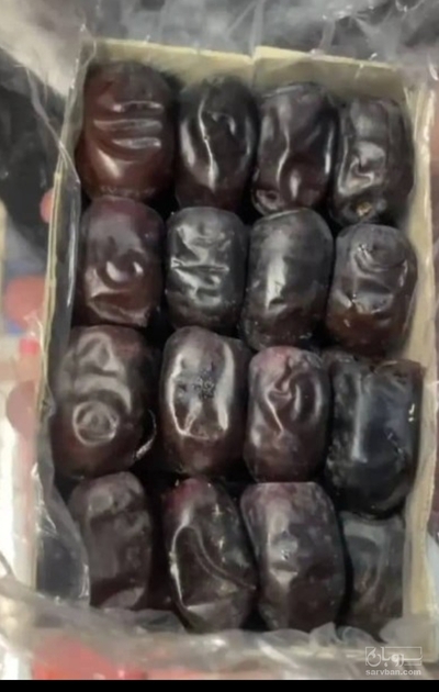 فروش خرما
