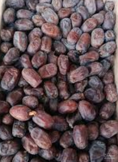 فروش خرما