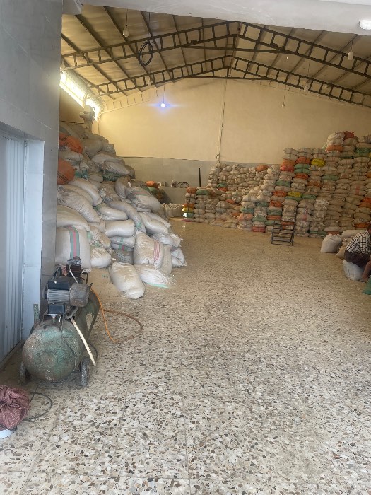 فروش سبوس برنج