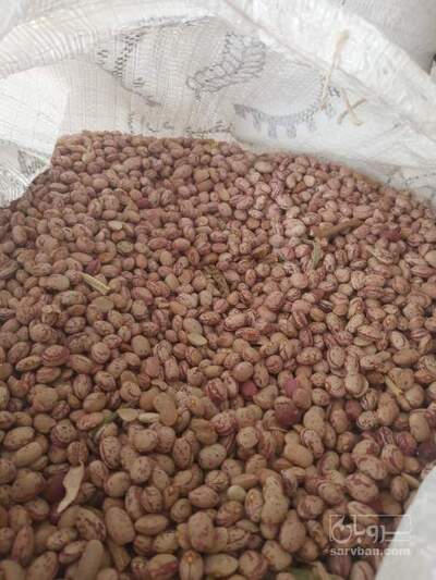 فروش لوبیا چیتی