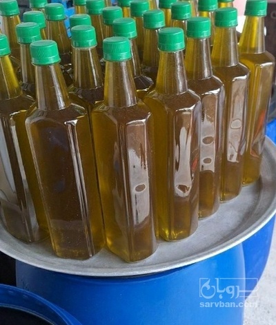 فروش روغن زیتون با بو