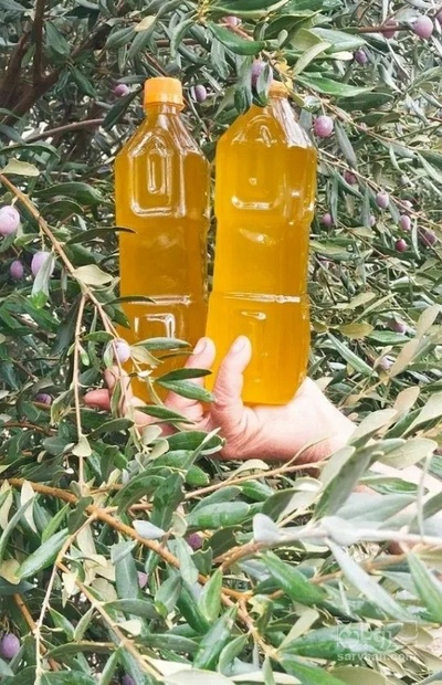 فروش روغن زیتون بی بو