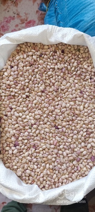 فروش لوبیا چیتی