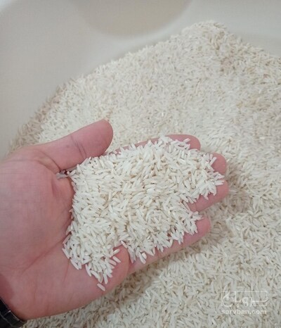 فروش برنج