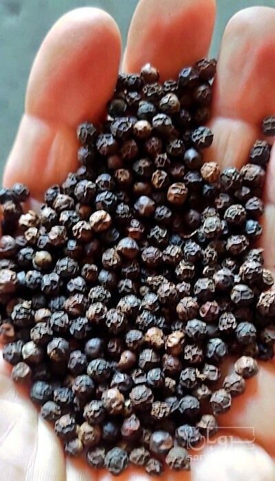 فروش پودر فلفل سیاه