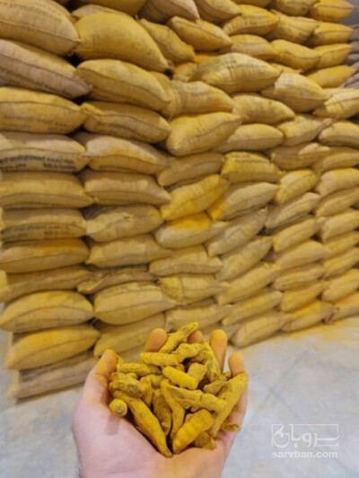 فروش پودر زردچوبه