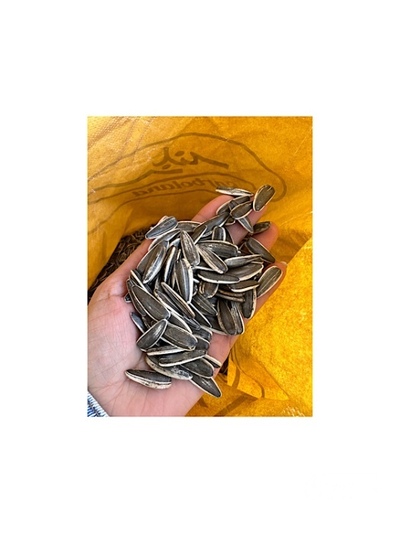 فروش تخمه آفتابگردان بود داده