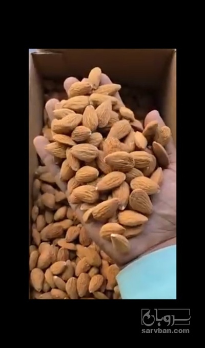 فروش بادام درختی  ١٨/٢٠