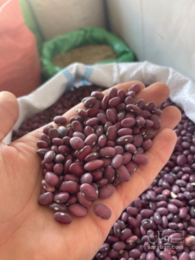 فروش لوبیا قرمز