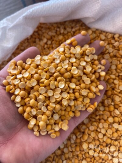 فروش  لپه درشت آذرشهر