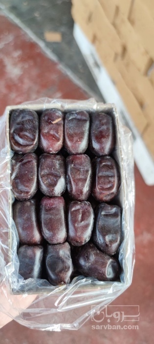 فروش خرما مضافتی
