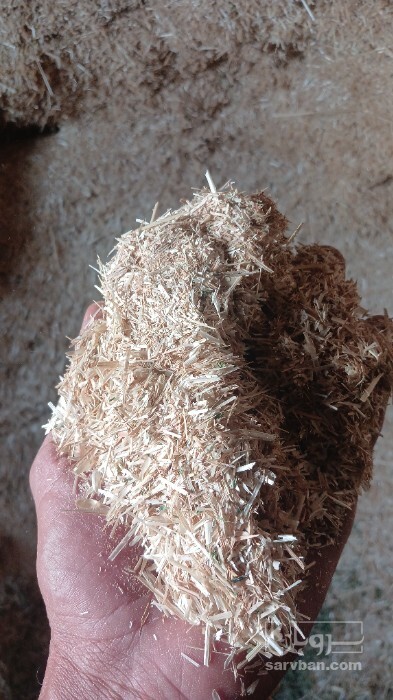 فروش کاه و کلش گندم