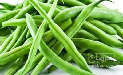 فروش لوبیا سبز