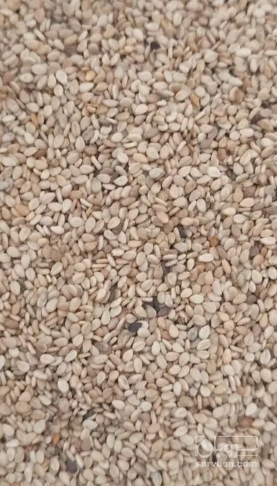 فروش کنجد ارده گیری