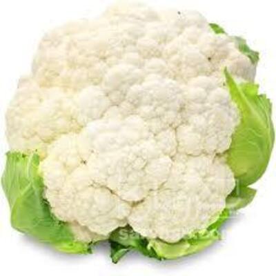 فروش گل کلم