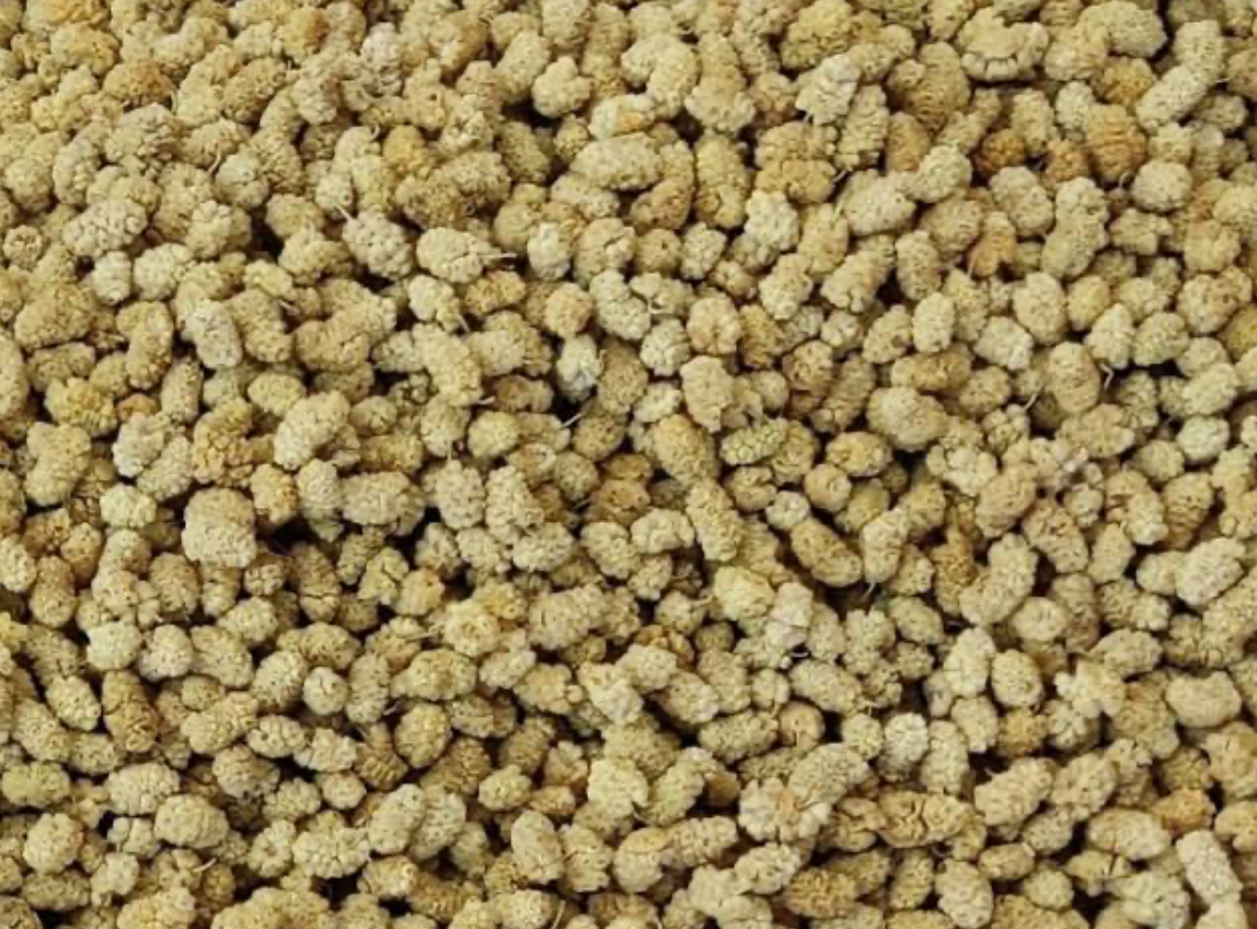 فروش توت خشک سفید