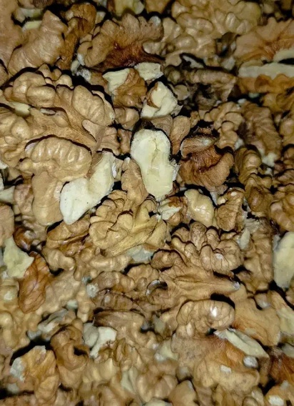 فروش  مغز گردو دندانه