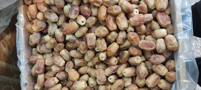 فروش انواع خرما