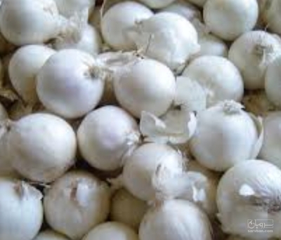 فروش پیاز