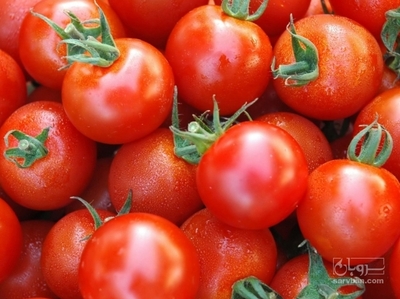 فروش گوجه فرنگی