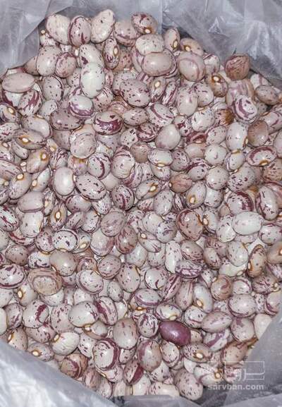 فروش لوبیا چیتی