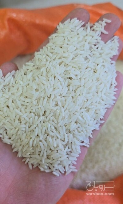 فروش برنج