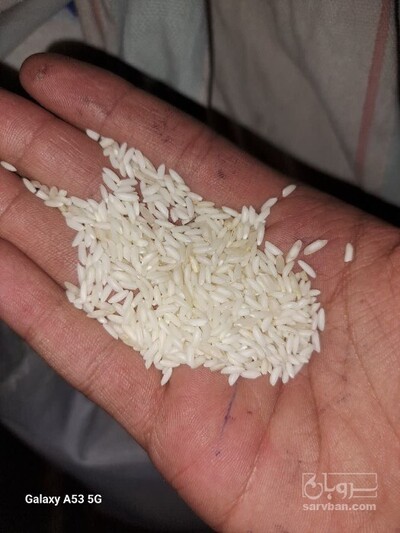 فروش برنج