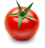 فروش گوجه فرنگی