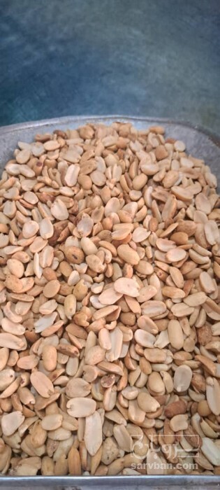 فروش بادام زمینی