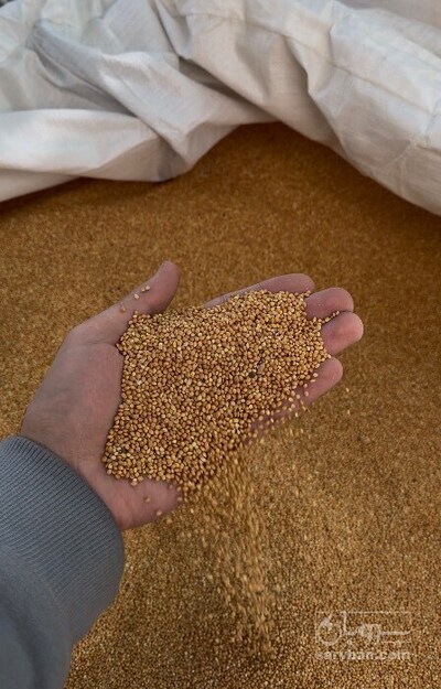 فروش ارزن خارجی