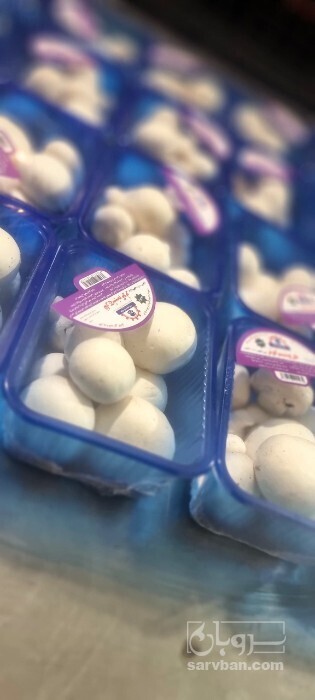 فروش قارچ دکمه ای