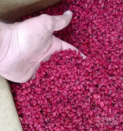 فروش زرشک اناری