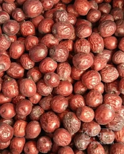 فروش عناب دارویی