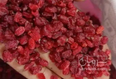 فروش زرشک اناری
