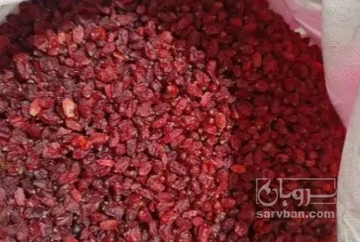 فروش زرشک زیر تالاری