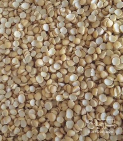 فروش نخود کفتری - لپه