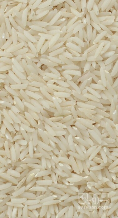 فروش برنج