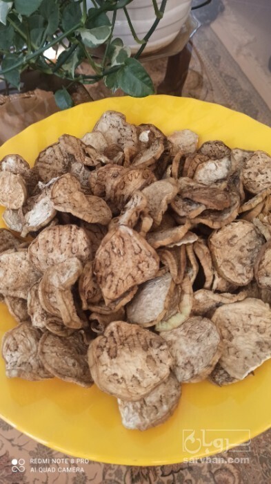 فروش بادمجان