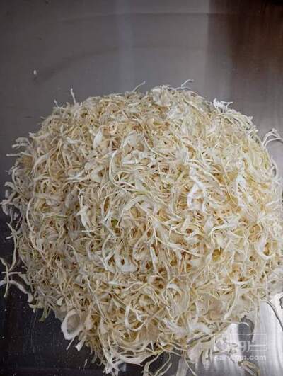 فروش پیاز خشک (گیاه‌ دارویی)