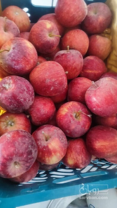 فروش سیب قرمز