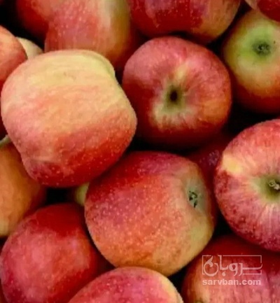 فروش سیب قرمز