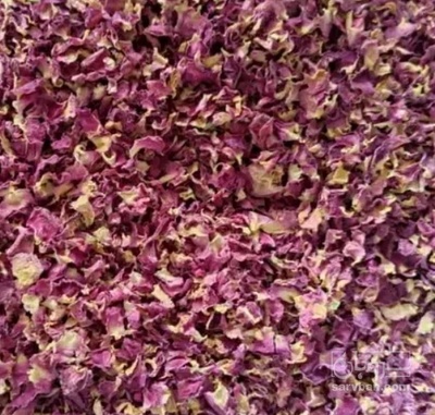 فروش گل محمدی (گیاه‌ دارویی)