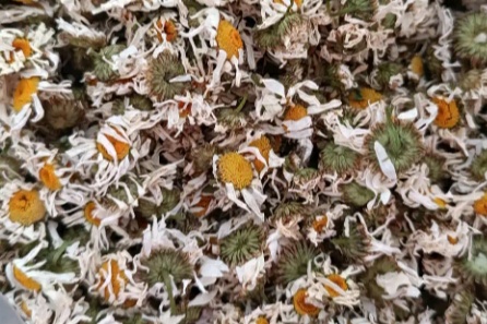 فروش بابونه (گیاه‌ دارویی)