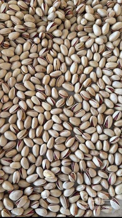 فروش پسته احمد آقایی